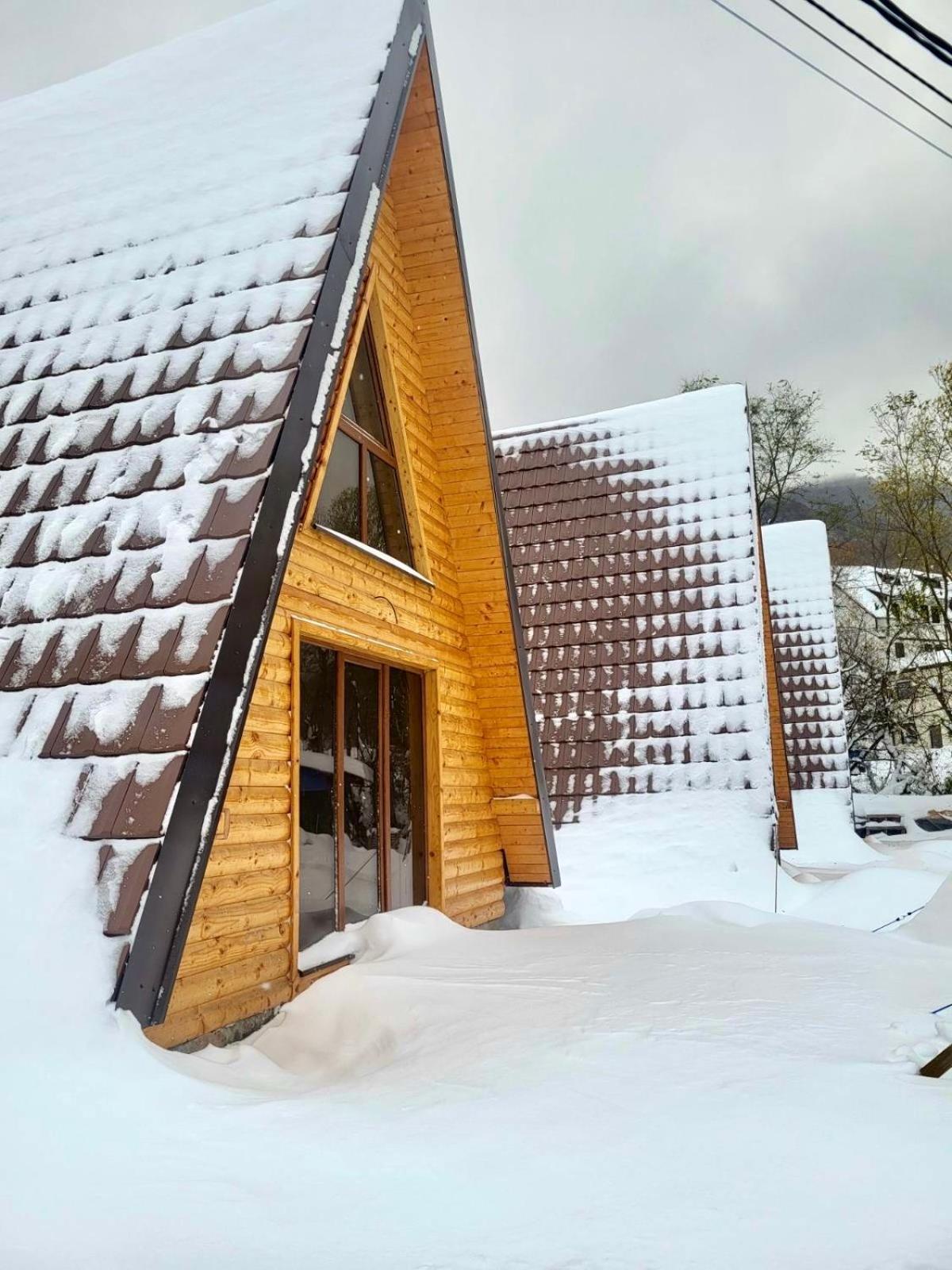 Brvnare Todorovic Villa Crni Vrh Exteriör bild